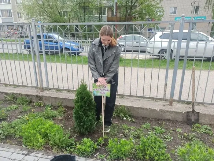 Туи в подарок школе: 9‑е классы внесли вклад в зелёное будущее