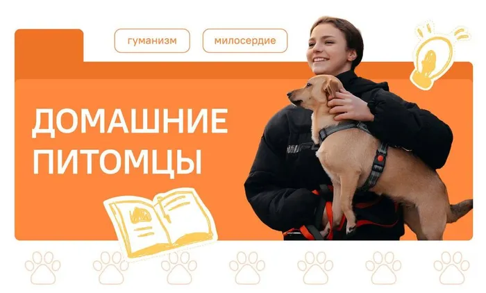 01.12.2025 "Разговоры о важном" на тему «Домашние питомцы»