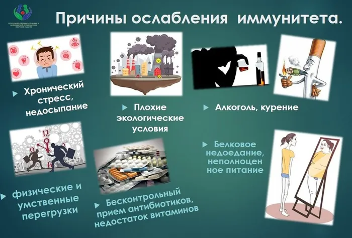 Инфокарточка - Поддержание и укрепление иммунитета