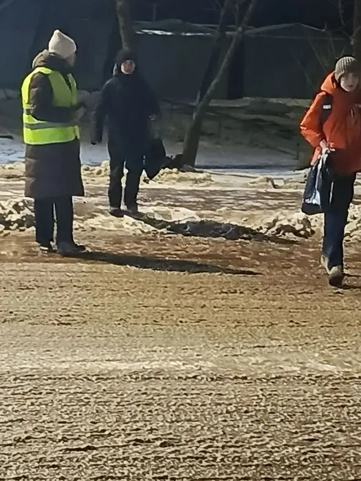 Родительский патруль на страже детской дорожной безопасности