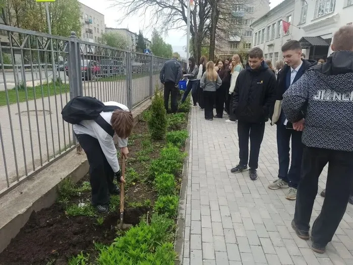 Туи в подарок школе: 9‑е классы внесли вклад в зелёное будущее
