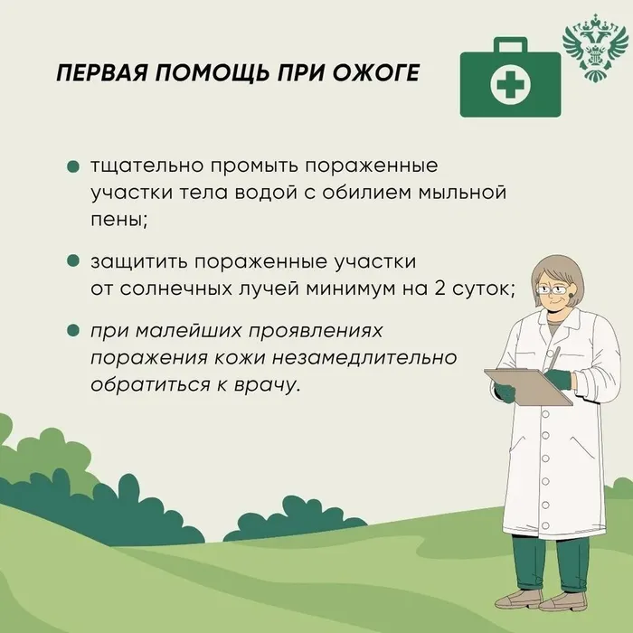 Инфокарточка - Осторожно: борщевик 4