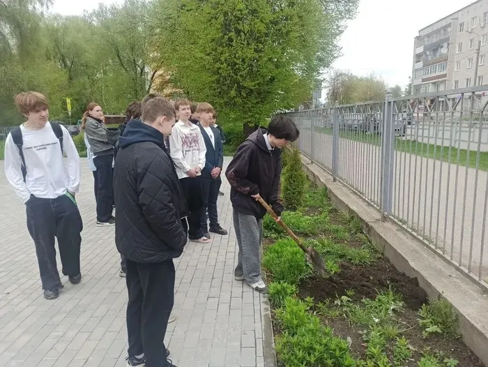 Туи в подарок школе: 9‑е классы внесли вклад в зелёное будущее