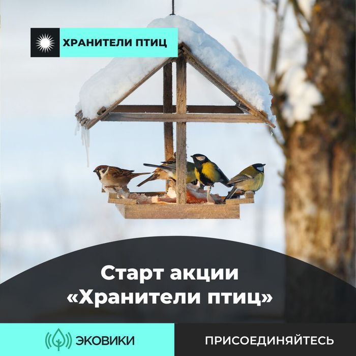 Приглашении к участию в конкурсе «Хранители
птиц» на платформе Ecowiki.ru