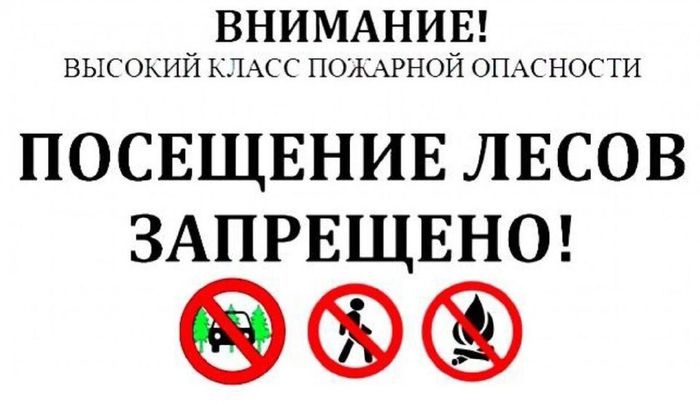 На территории ВГО установлен особый противопожарный режим с 07.07.2022 по 01.09.2022