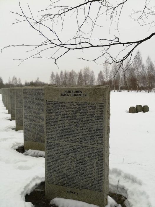 Посещение братского захоронения советских и немецких солдат